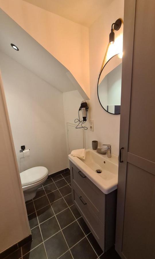 Studio Le Ligerien Saint-Denis-de lʼHôtel エクステリア 写真