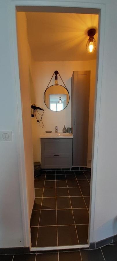 Studio Le Ligerien Saint-Denis-de lʼHôtel エクステリア 写真